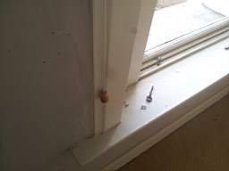 fkillineybeforeinternal 1005.jpg